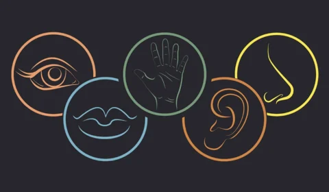 Seus 5 SENTIDOS no Relacionamento e no Sexo