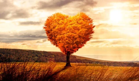 3 Segredos da Felicidade no Amor