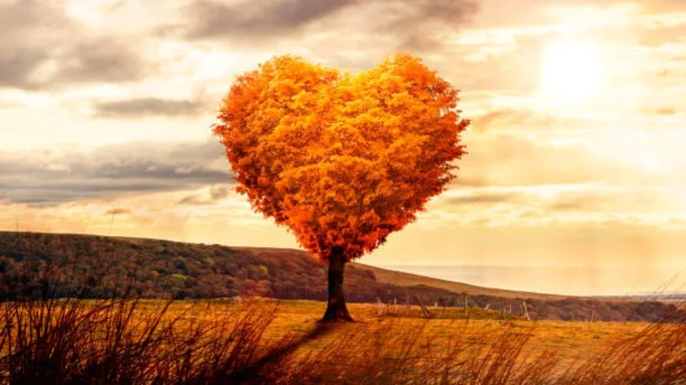 3 Segredos da Felicidade no Amor